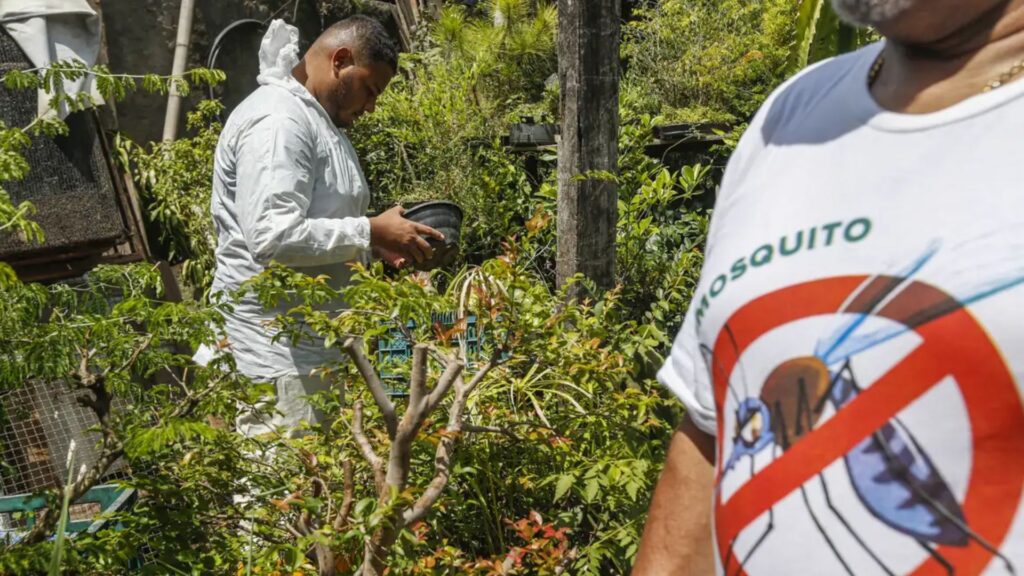 Dia D contra a Dengue - 13/12/2024