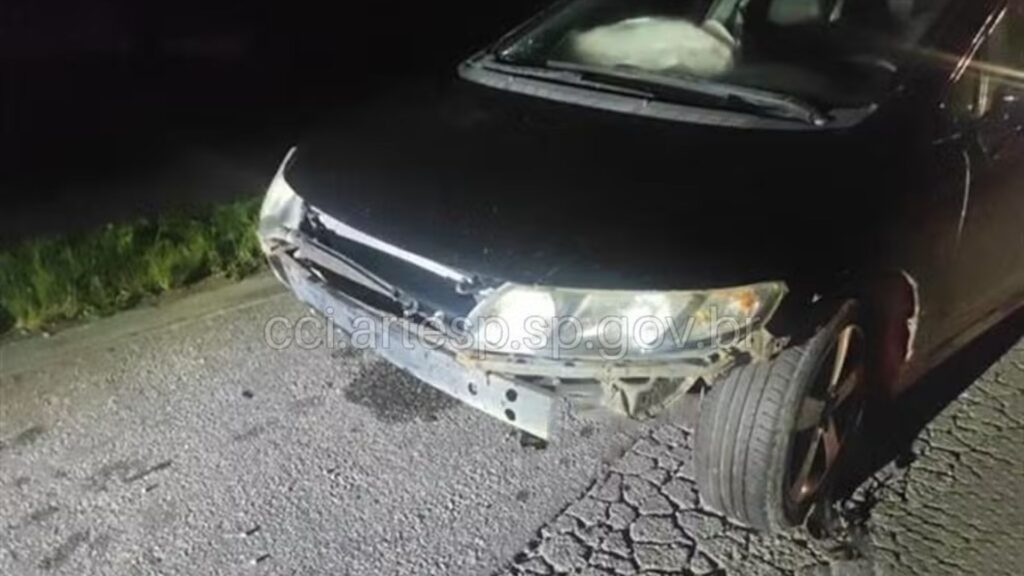 Motorista fica gravemente ferido após atropelar cavalo na Rodovia Raposo Tavares em Sorocaba (Foto: Reprodução/Artesp)