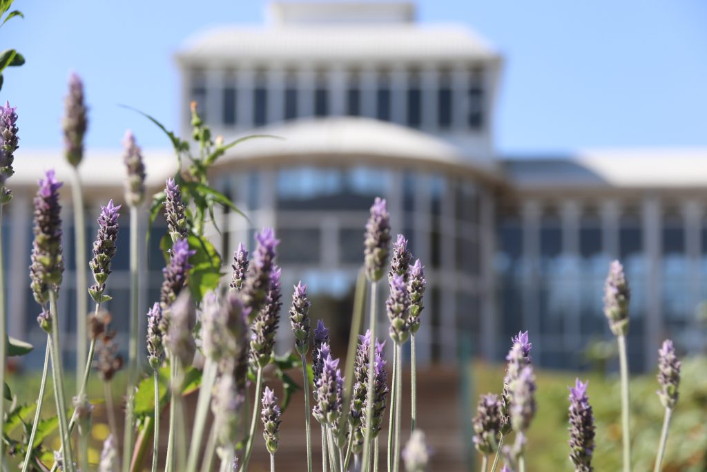 Oficina acontece no Jardim Botânico “Irmãos Villas-Bôas” (Prefeitura de Sorocaba)