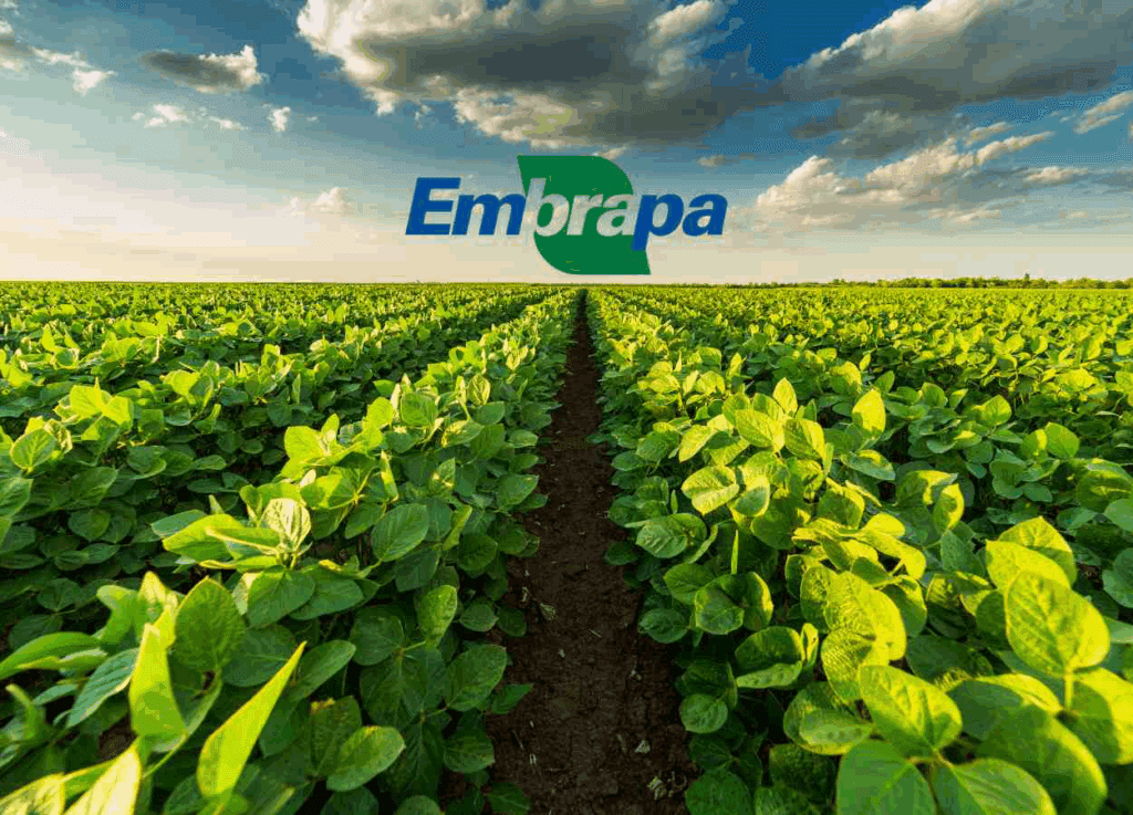 Embrapa