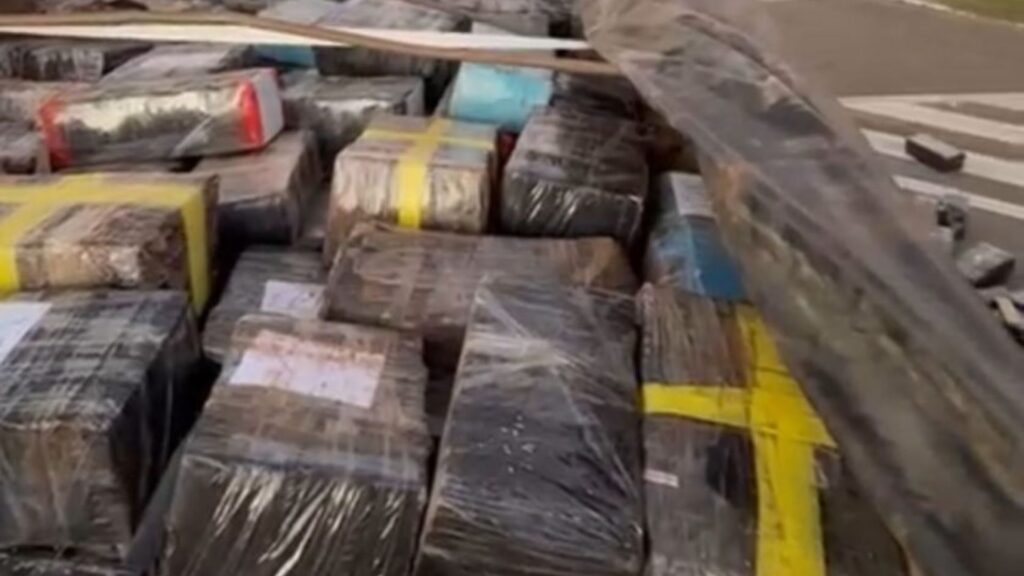 Polícia Militar faz apreensão de maconha na região de Itapetininga (Foto: Agência SP/ Reprodução)