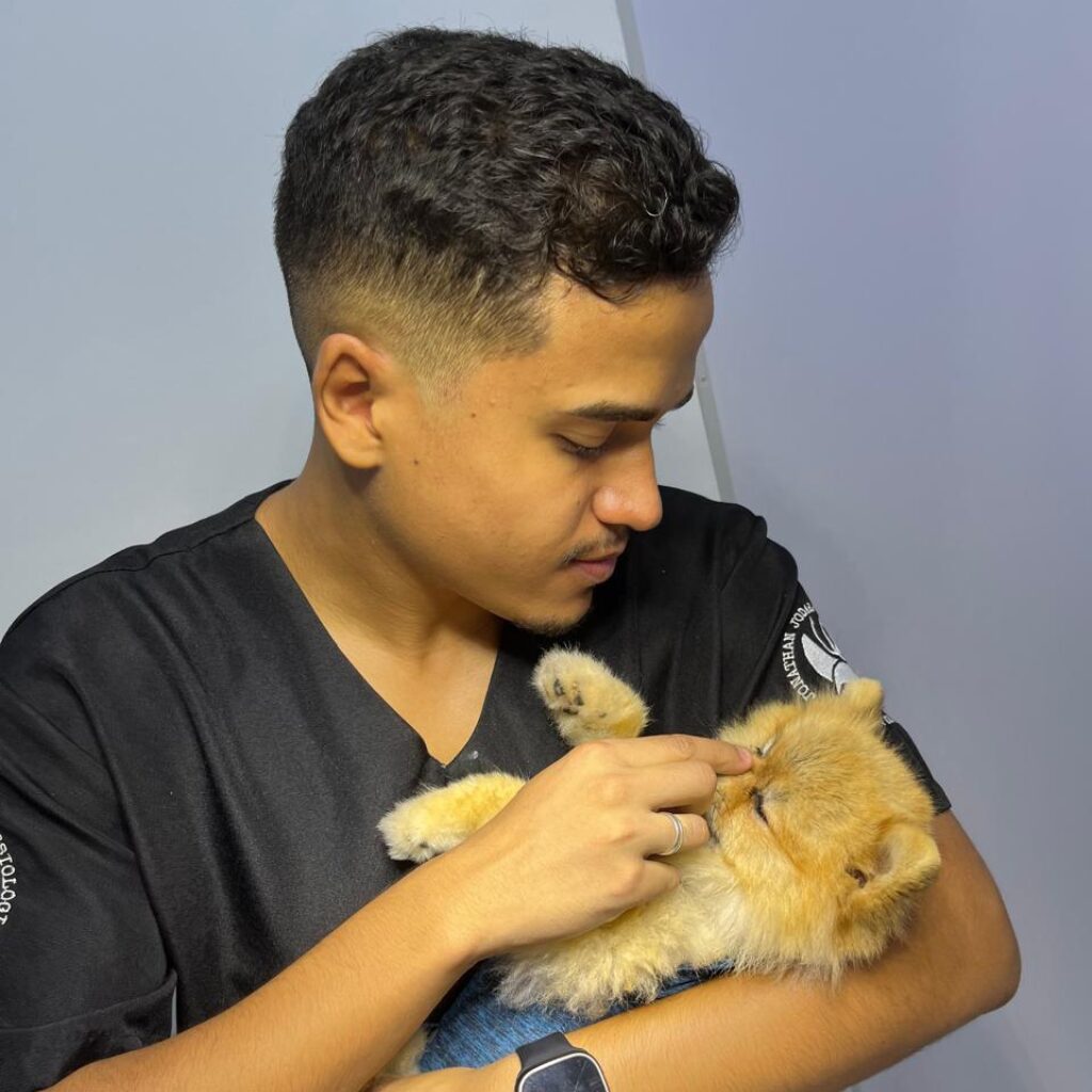 Jonathan Jordar, médico veterinário, fala sobre queda de pelos em pets