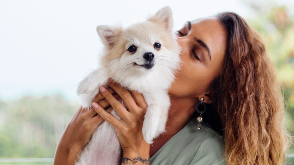 Vai viajar no fim do ano? Veja como escolher onde deixar seu pet (kroshka__nastya/ Freepik)