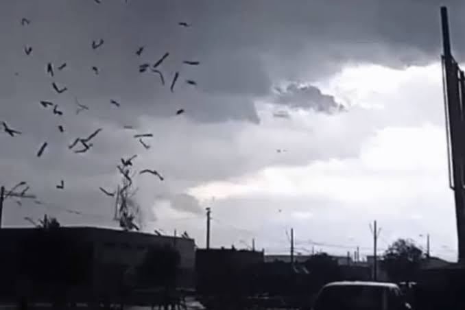 Tornado atinge Paraná (Redes Sociais)