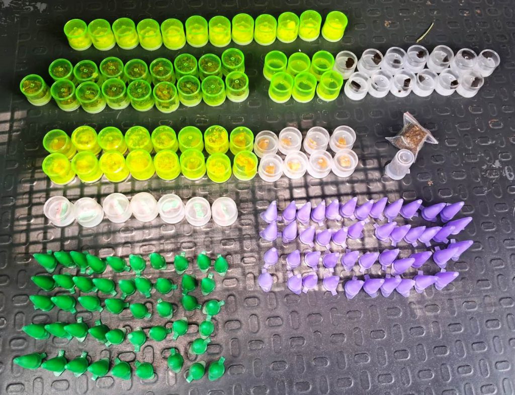 GCM apreende 172 porções de drogas durante patrulhamento no Jardim Nova Manchester