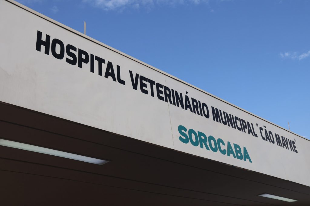 hospital veterinário