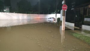 Chuva com granizo provoca quedas de árvores, alagamentos e falta de energia na região de Sorocaba
