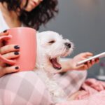 Produtos de limpeza podem comprometer saúde dos pets; entenda (Freepik)