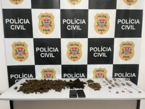 Homem é preso em flagrante após polícia encontrar plantação de maconha na sua residência em São Roque