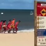 Menino de 11 anos é mordido por tubarão em praia de Pernambuco (redes sociais)