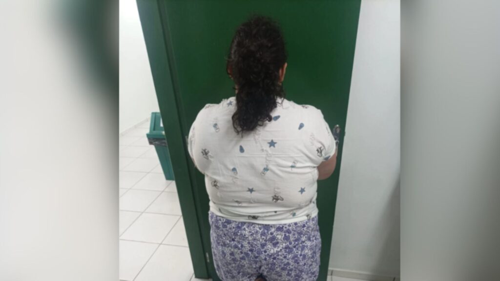 Mulher de 37 anos é presa após se passar por adolescente em Santa Catarina (foto: PCSC)